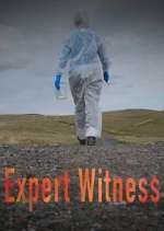 Watch Expert Witness 0123movies