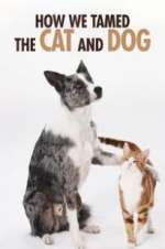 Watch How We Tamed the Cat and Dog 0123movies