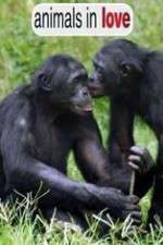 Watch Animals in Love 0123movies