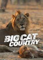 Watch Big Cat Country 0123movies
