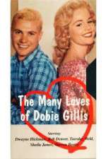Watch The Many Loves of Dobie Gillis 0123movies