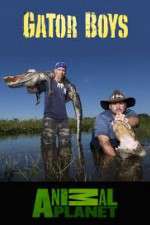 Watch Gator Boys 0123movies