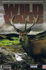 Watch Wild Wales 0123movies