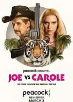 Watch Joe vs Carole 0123movies