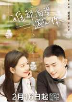 Watch Everyone Wants to Meet You 0123movies