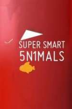 Watch Super Smart Animals 0123movies