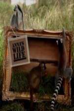 Watch Anna's Wild Life 0123movies