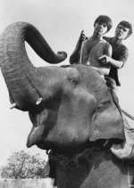 Watch Maya 0123movies