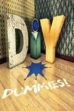 Watch DIY Dummies 0123movies