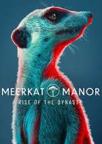 Watch Meerkat Manor: Rise of the Dynasty 0123movies