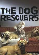 Watch The Dog Rescuers with Alan Davies 0123movies