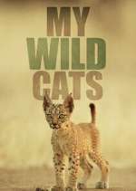 Watch My Wild Cats 0123movies