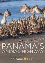 Watch Panama's Animal Highway 0123movies
