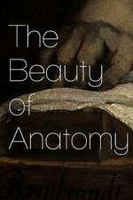 Watch The Beauty of Anatomy 0123movies