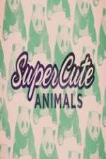 Watch Super Cute Animals 0123movies