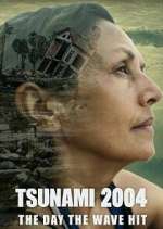 Watch Tsunami 2004: The Day the Wave Hit 0123movies