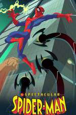 Watch The Spectacular Spider-Man 0123movies