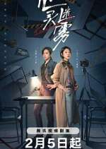 Watch Lies Never Lie 0123movies