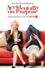 Watch Accidentally on Purpose 0123movies