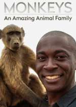 Watch Monkeys: An Amazing Animal Family 0123movies
