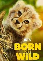 Watch Born to Be Wild 0123movies