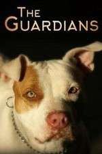 Watch The Guardians 0123movies