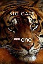 Watch Big Cats 0123movies