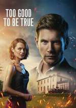 Watch Too Good to Be True 0123movies