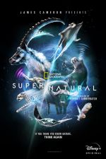Watch Super/Natural 0123movies