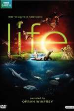 Watch Life 0123movies