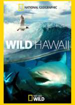 Watch Wild Hawaii 0123movies