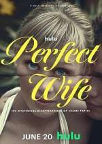 Watch Perfect Wife: The Mysterious Disappearance of Sherri Papini 0123movies