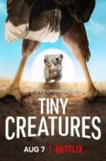 Watch Tiny Creatures 0123movies