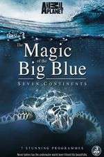 Watch The Magic of the Big Blue 0123movies