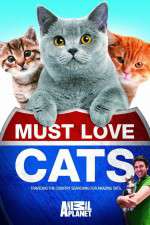 Watch Must Love Cats 0123movies