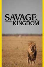 Watch Savage Kingdom 0123movies