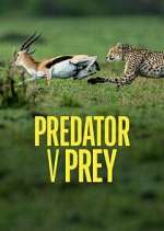 Watch Predator v Prey 0123movies