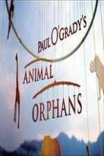 Watch Paul O'Grady's Animal Orphans 0123movies