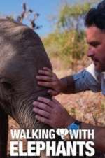 Watch Walking with Elephants 0123movies