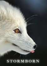 Watch Stormborn 0123movies