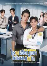 Watch My Stubborn 0123movies