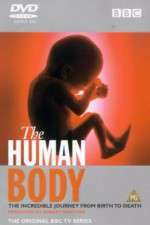 Watch The Human Body 0123movies
