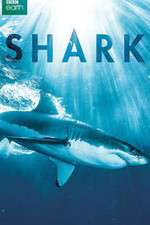 Watch Shark 0123movies