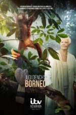 Watch Judi Dench\'s Wild Borneo Adventure 0123movies