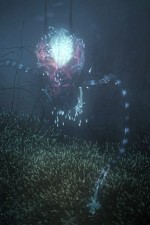 Watch Into the Universe with Stephen Hawking 0123movies