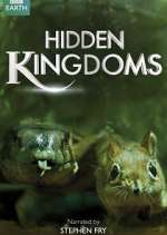 Watch Hidden Kingdoms 0123movies