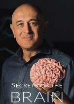 Watch Secrets of the Brain 0123movies