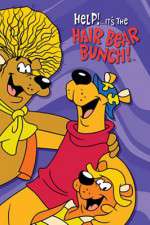 Watch Help!... It's the Hair Bear Bunch 0123movies
