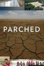 Watch Parched 0123movies