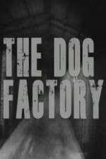 Watch The Dog Factory 0123movies